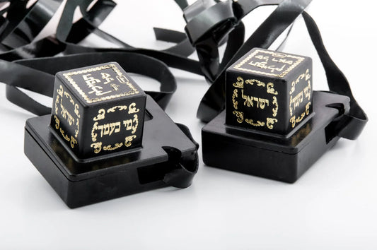 תפילין בהמה גסה